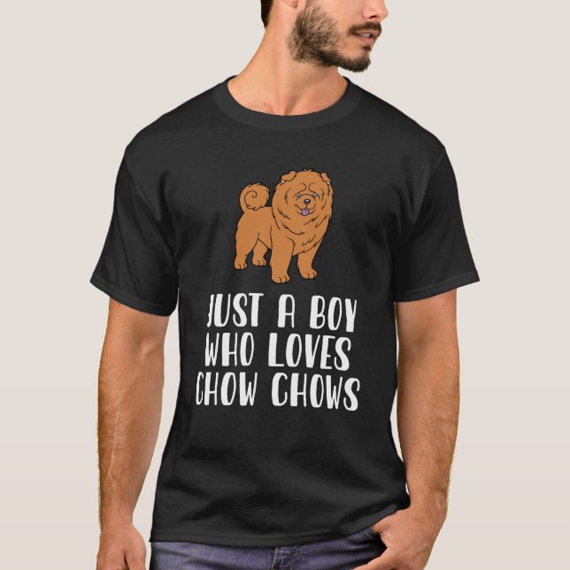 Camiseta Solo Un Niño Que Ama Las Chow (Anverso)