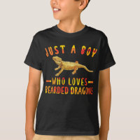 Solo Un Niño Que Ama Los Dragones Con Cabeza Lizar