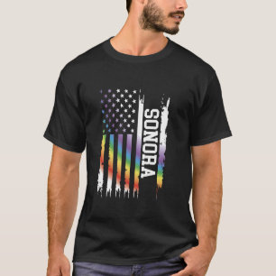 Camiseta Sonora: El arcoiris con bandera de los Estados Uni