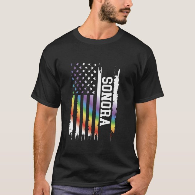 Camiseta Sonora: El arcoiris con bandera de los Estados Uni (Anverso)