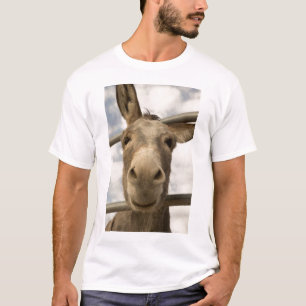 Camiseta sonriente del Burro