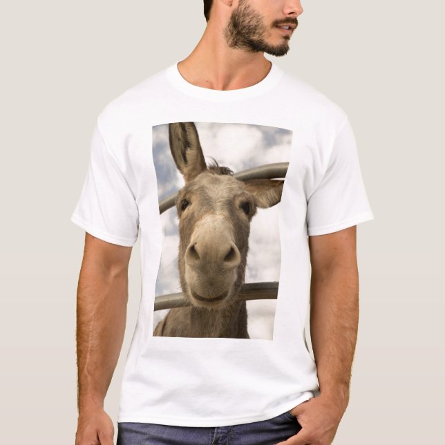 Camiseta sonriente del Burro (Anverso)