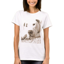 sonriente y amigable pitbull blanco odio acción no