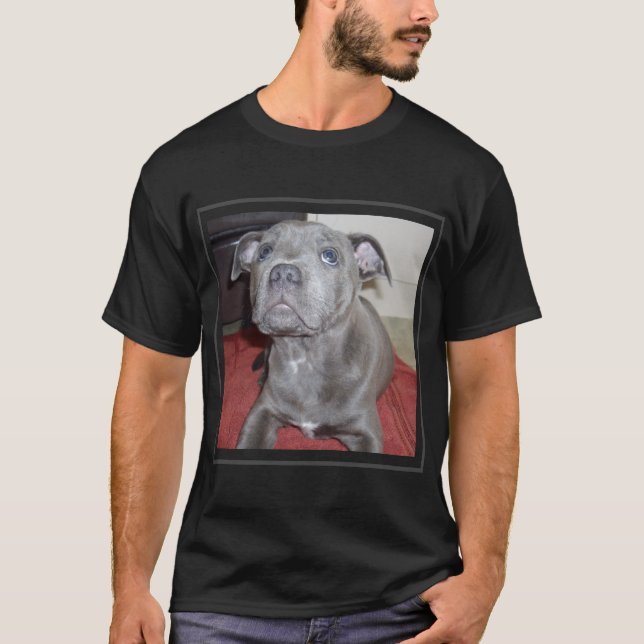 Camiseta Sooky Blue Staffordshire Bull Terrier Puppy, (Anverso)