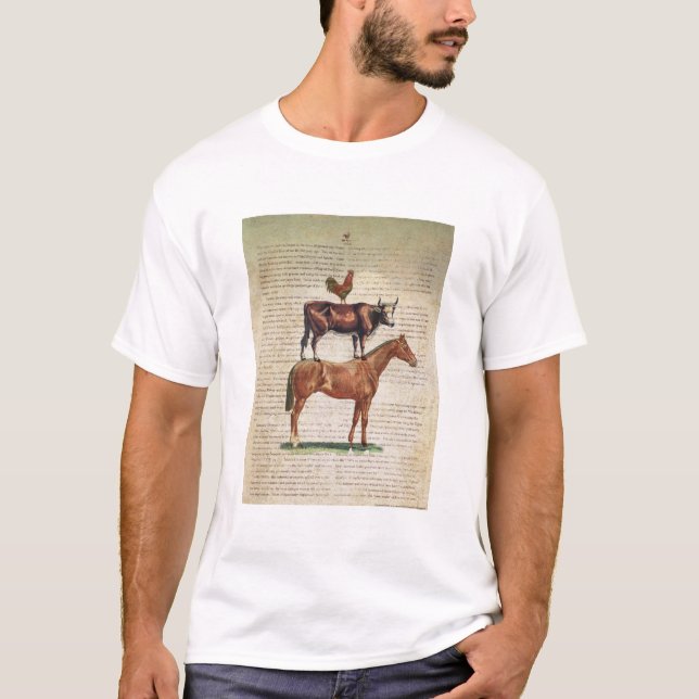 Camiseta Soporte C1.tif de la granja NOB12 (Anverso)