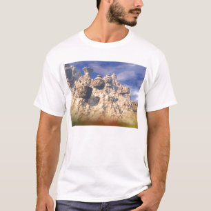 Camiseta Soporte Chessmore