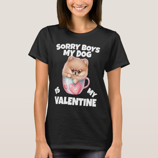 Camiseta Sorry Boys My Dog Is My Valentine  Dog (Anverso)