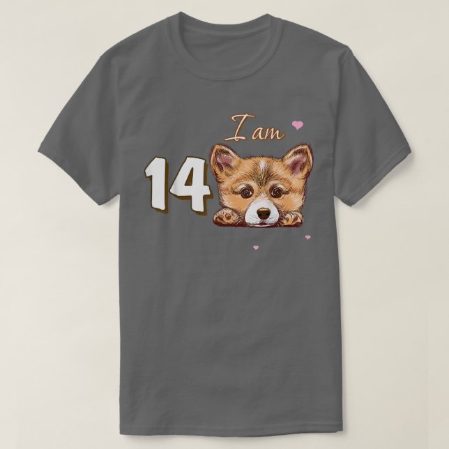 Camiseta Soy 14 Corgi Gift por regalo de 14 cumpleaños (Diseño del anverso)