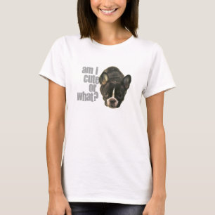 Camiseta ¿soy lindo o qué?