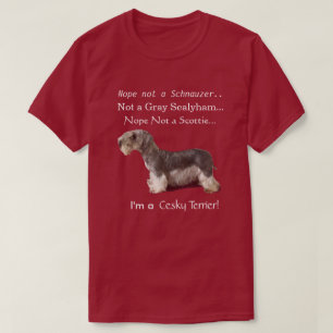 Camiseta Soy un Cesky Terrier