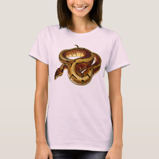Camiseta Spider Ball Python