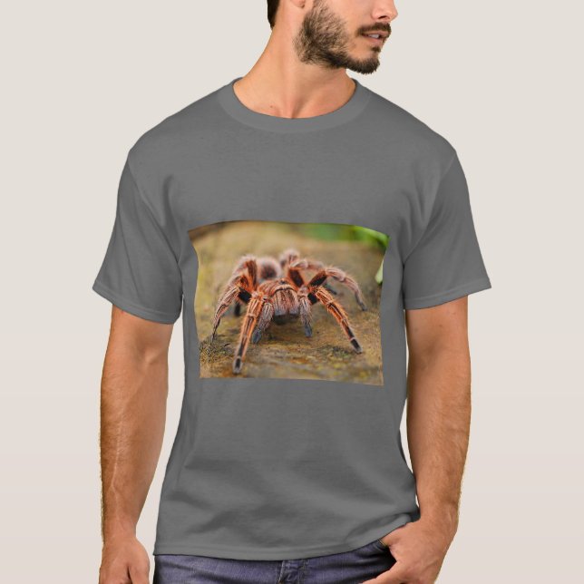 Camiseta Spider Graphic Nature (Anverso)