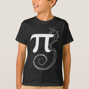 Camiseta Spiral Pi Math Funny Pi Day 3.14 Ecuación Matemáti