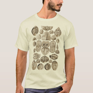 Camiseta Spirobranchia