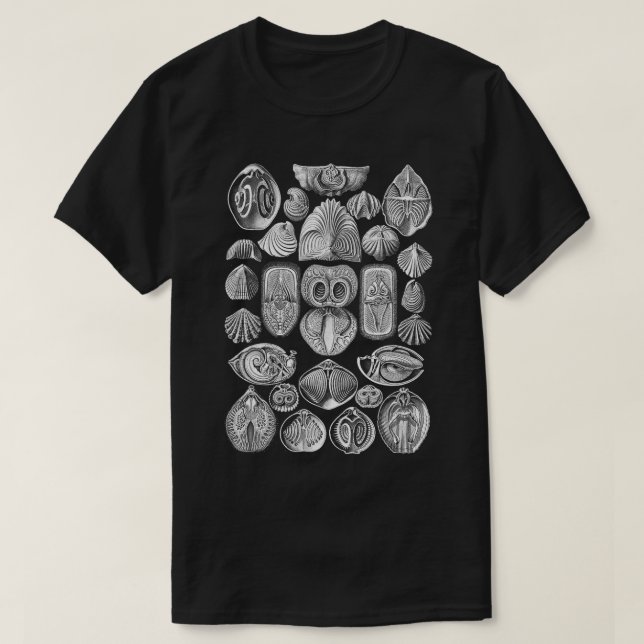 Camiseta Spirobranchia Brachiopods (Diseño del anverso)