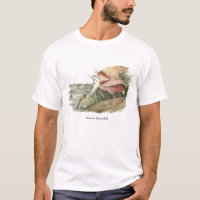 Spoonbill rosado, Juan Audubon