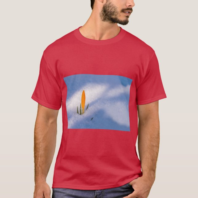 Camiseta Spring Awakening Nature Inspired Graphic (Anverso)