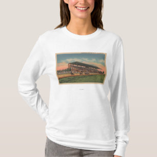 Camiseta Springfield, IL - caballo justo de los argumentos