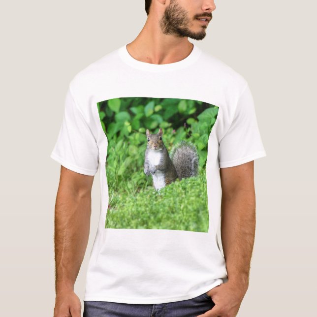 Camiseta Squirrel (Anverso)