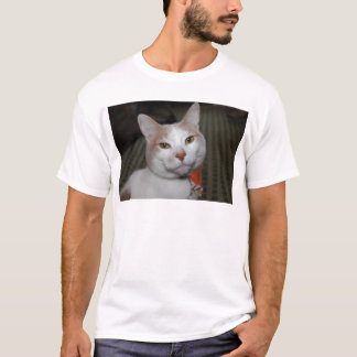 Camiseta ¡Sr. Peabody!