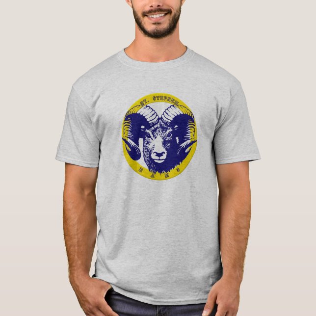 Camiseta sshs (Anverso)