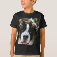 St Bernard