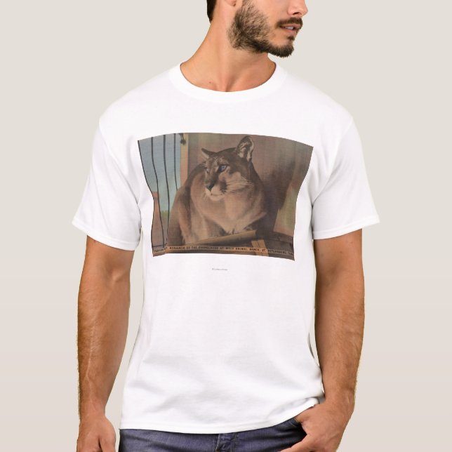 Camiseta St Petersburg, la Florida - imagen de la Florida (Anverso)