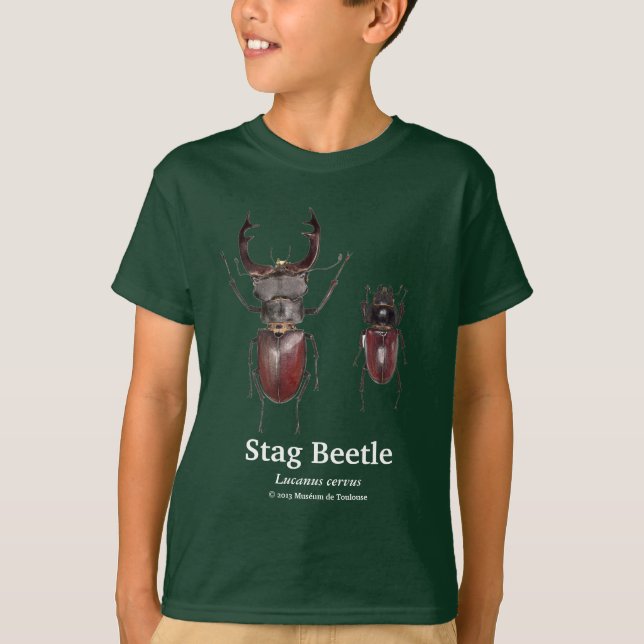 Camiseta Stag Beetle,Lucanus cervus (Anverso)