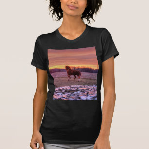 Camiseta Stallion corriendo a casa al atardecer en el ranch