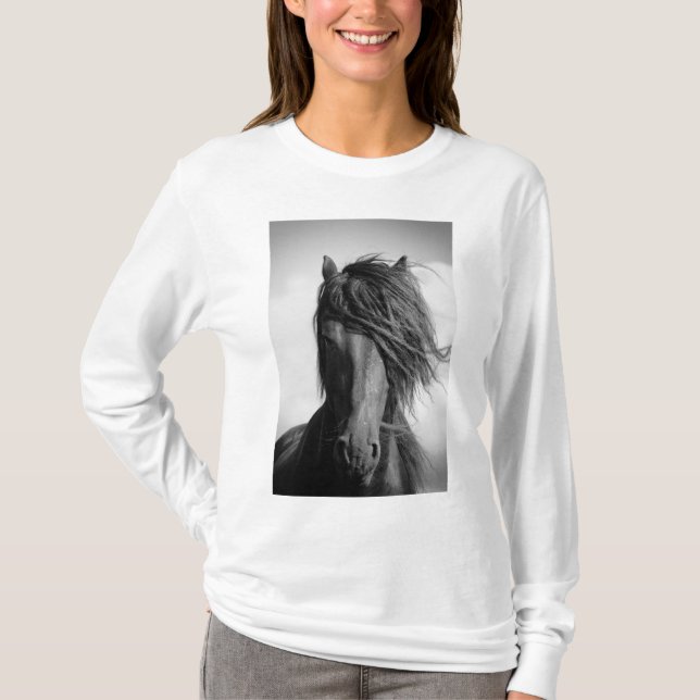 Camiseta Stallion frisón en el viento. (Anverso)