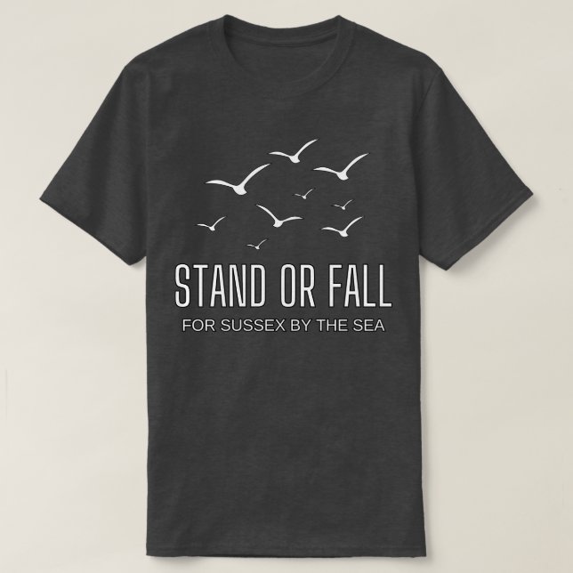Camiseta Stand o Fall (Diseño del anverso)