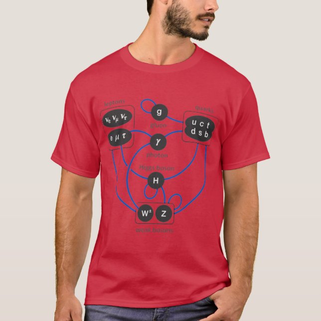 Camiseta Standard Model Particles Higgs Boson Physicsheory  (Anverso)