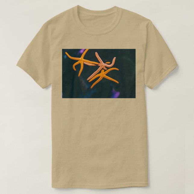 Camiseta Starfish 5 (Diseño del anverso)