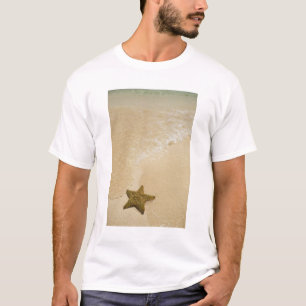 Camiseta Starfish en la playa de arena, Gibbs Cay Land