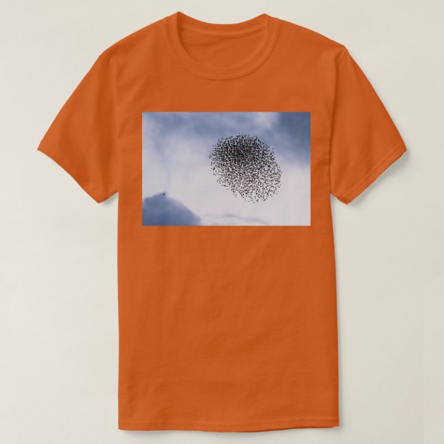 Camiseta Starlings v sparrowhawawk I (Diseño del anverso)