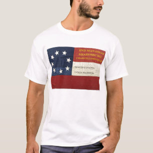 Camiseta starsandbars