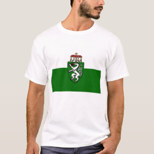 Camiseta Steiermark, Austria