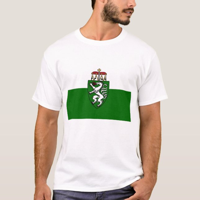 Camiseta Steiermark, Austria (Anverso)