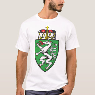 Camiseta Steiermark, Austria
