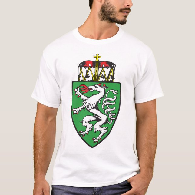 Camiseta Steiermark, Austria (Anverso)