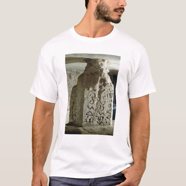 Camiseta Stele con el texto de una ley sagrada (Anverso)