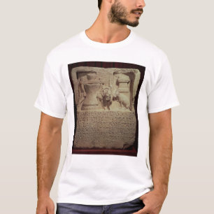 Camiseta Stele del molinero Marco Careius Asisa