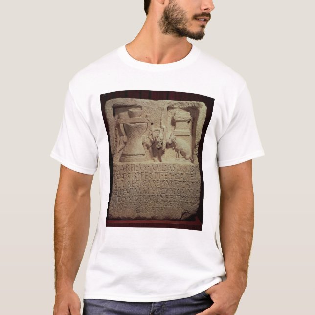 Camiseta Stele del molinero Marco Careius Asisa (Anverso)