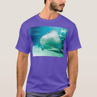 Camiseta Stingray 1
