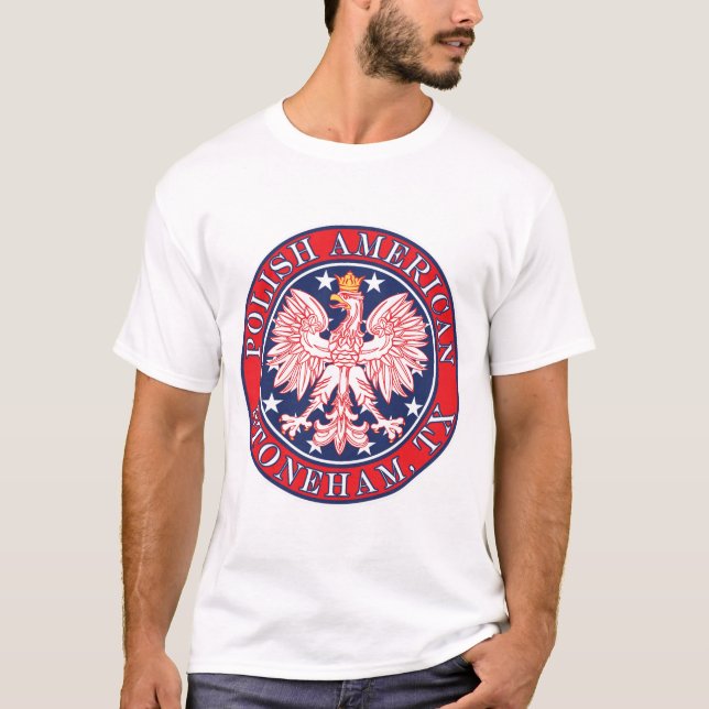 Camiseta Stoneham Texas Polaco American Eagle (Anverso)