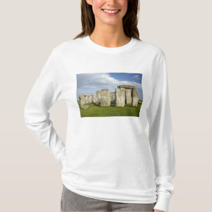 Camiseta Stonehenge (alrededor del 2500 a.C.), Patrimonio M