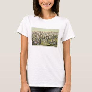 Camiseta Stonehenge, or a Circular Temple of the Druids, pl