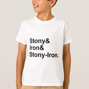 Camiseta Stony & Iron & Stony-Iron Tipos de meteoritos