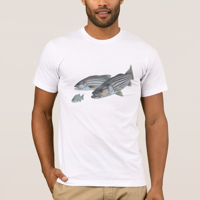 Camiseta ¿Stripa conseguido? (Anverso)