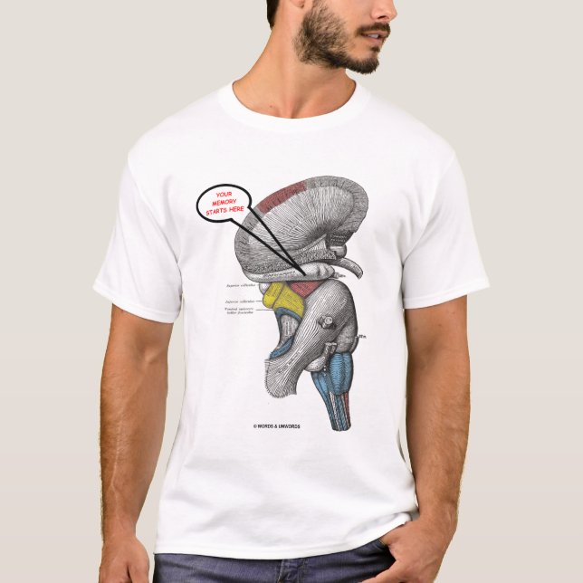 Camiseta Su memoria comienza aquí (el humor del hipocampo) (Anverso)